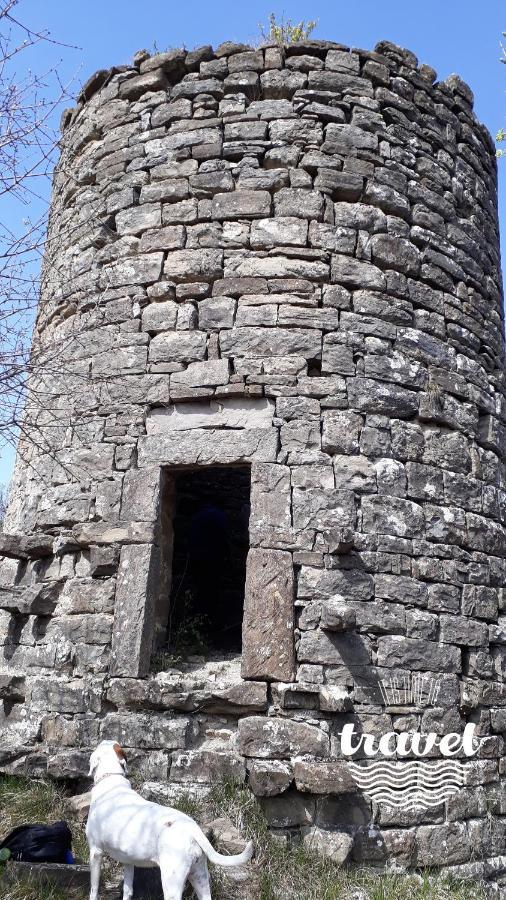 Penzion Wine House Rakar Gračišče Exteriér fotografie