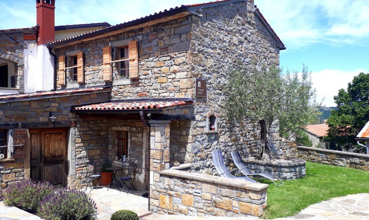 Penzion Wine House Rakar Gračišče Exteriér fotografie
