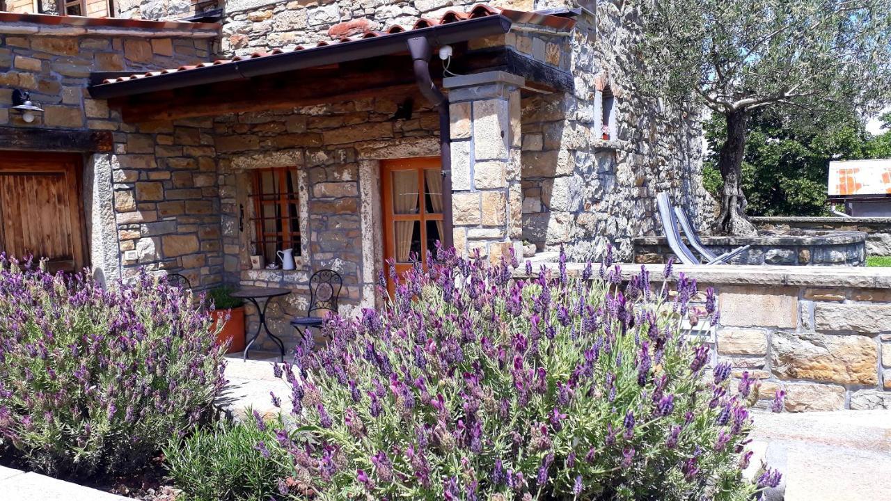 Penzion Wine House Rakar Gračišče Exteriér fotografie