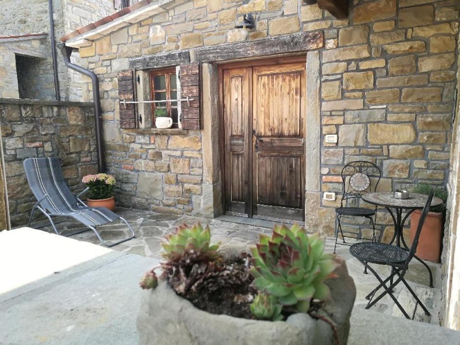 Penzion Wine House Rakar Gračišče Exteriér fotografie
