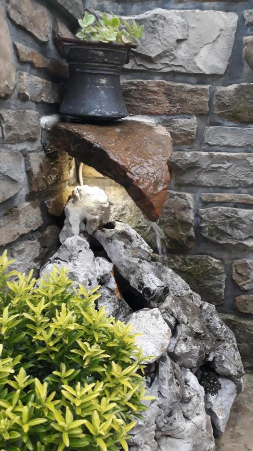 Penzion Wine House Rakar Gračišče Exteriér fotografie