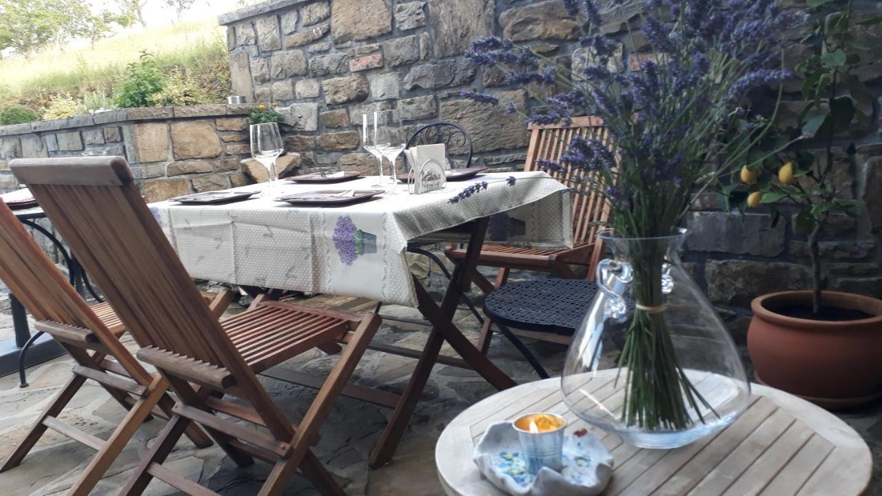 Penzion Wine House Rakar Gračišče Exteriér fotografie
