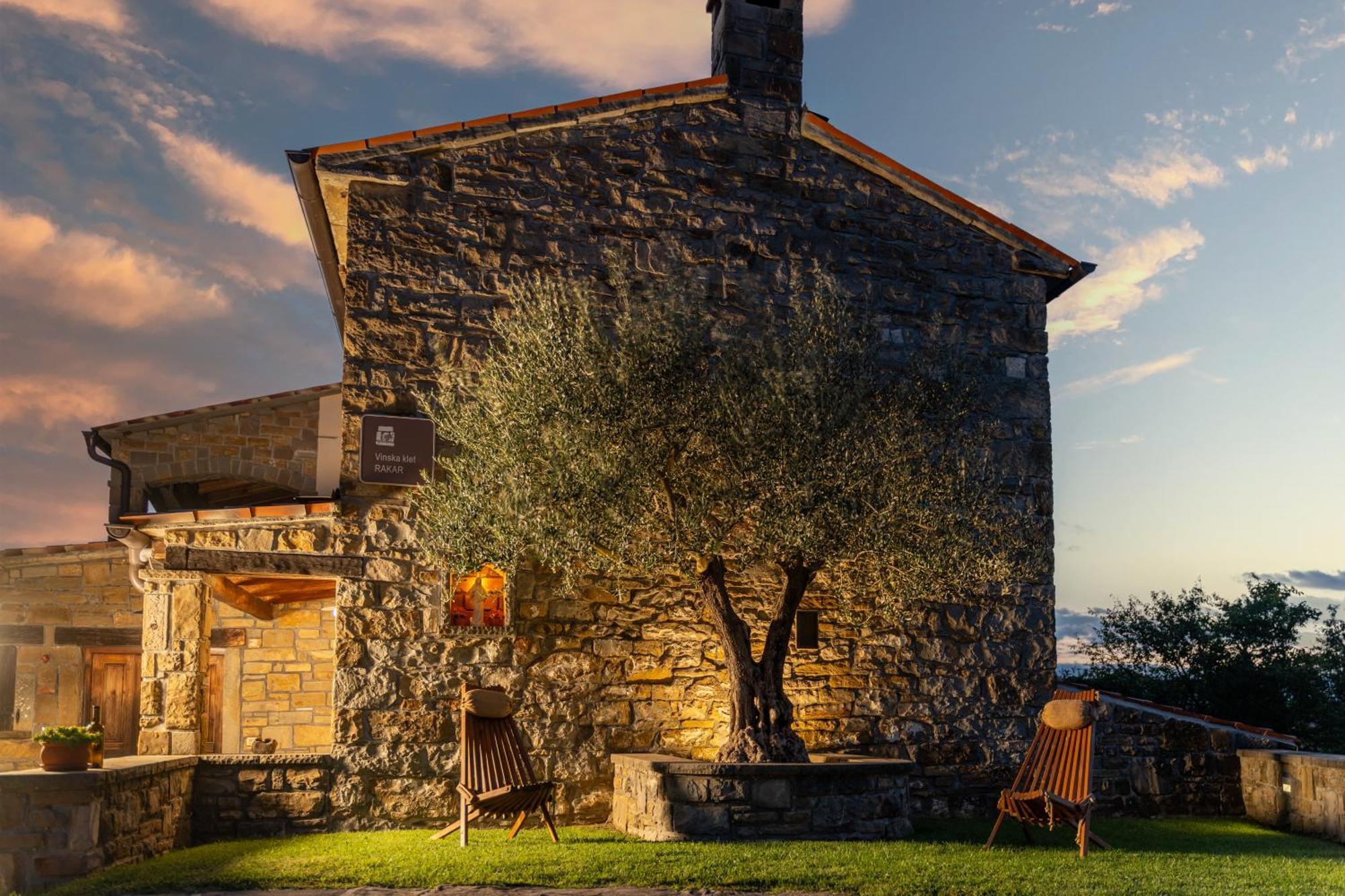 Penzion Wine House Rakar Gračišče Exteriér fotografie