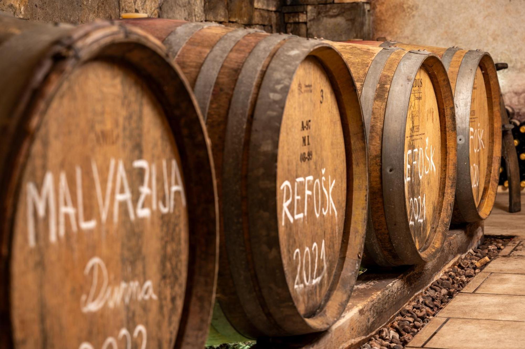Penzion Wine House Rakar Gračišče Exteriér fotografie