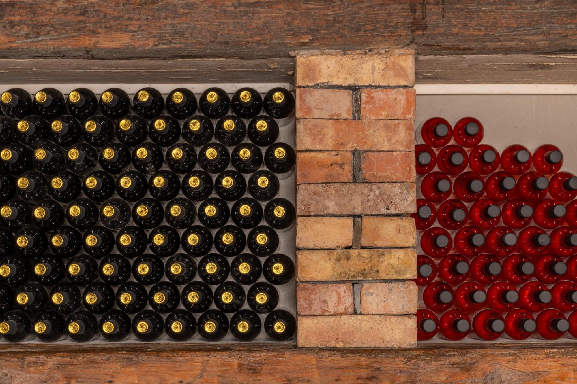 Penzion Wine House Rakar Gračišče Exteriér fotografie
