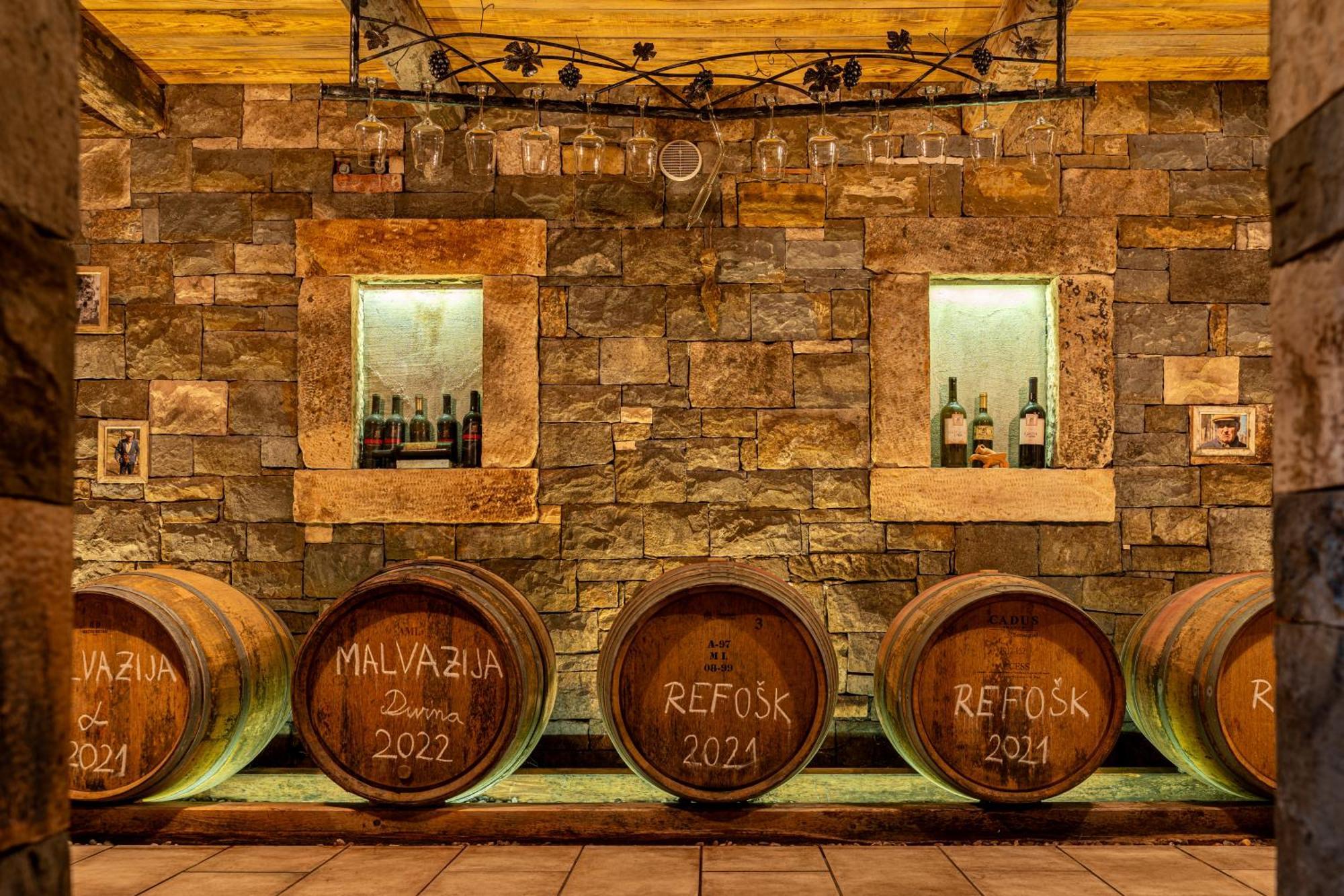 Penzion Wine House Rakar Gračišče Exteriér fotografie