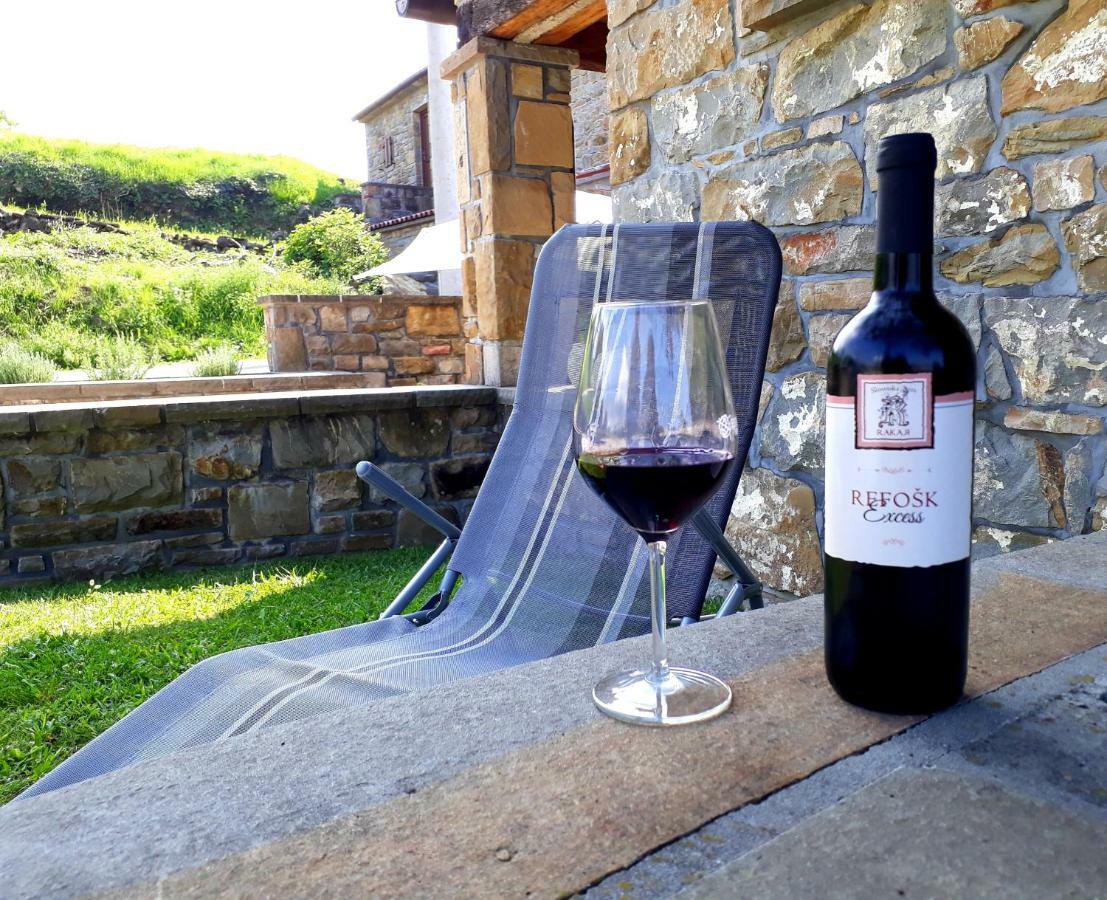 Penzion Wine House Rakar Gračišče Exteriér fotografie