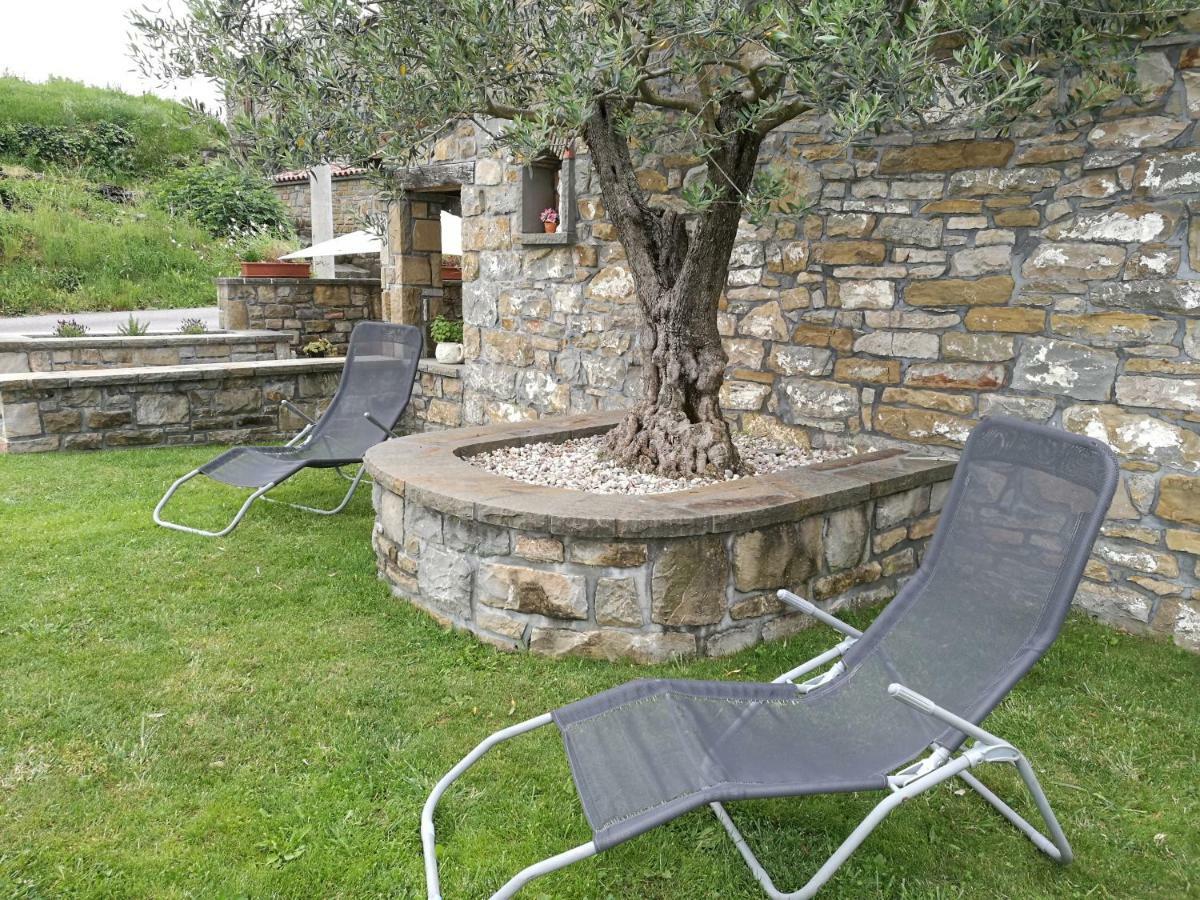 Penzion Wine House Rakar Gračišče Exteriér fotografie