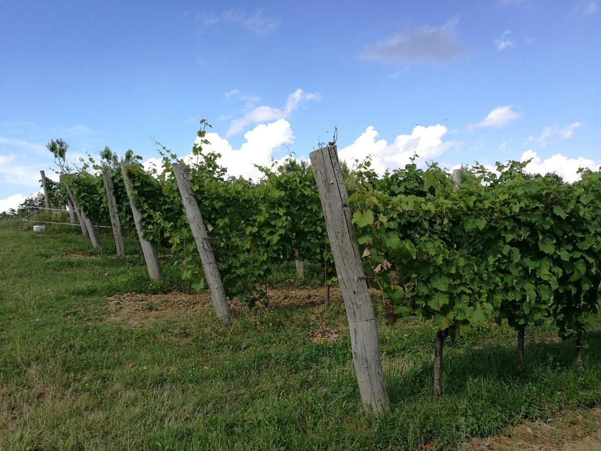 Penzion Wine House Rakar Gračišče Exteriér fotografie