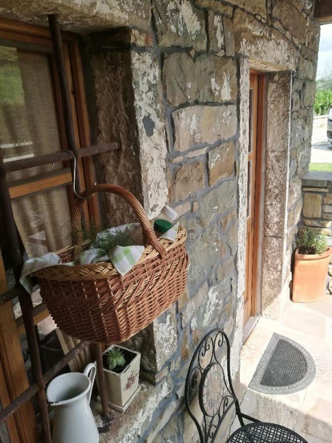 Penzion Wine House Rakar Gračišče Exteriér fotografie